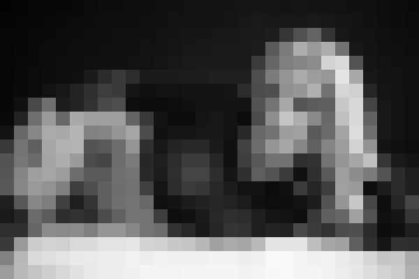 Portia Portland, Oregon Escort, Pornstar, BDSM, DUO, Couple, Verified Adult Service Provider, Companion in United States | 19