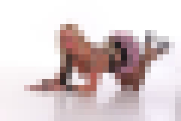 Portia Portland, Oregon Escort, Pornstar, BDSM, DUO, Couple, Verified Adult Service Provider, Companion in United States | 12
