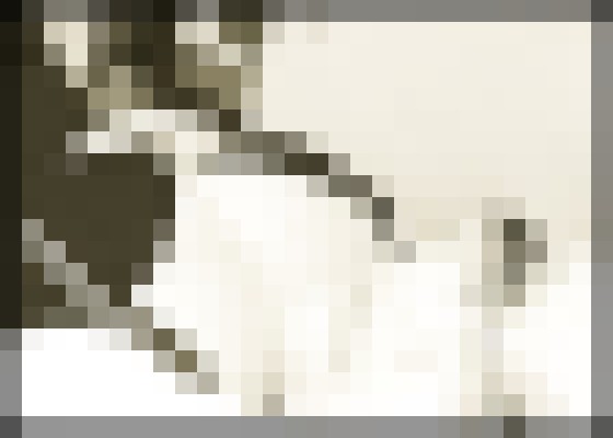 Miss Shelly Seattle, Washington Escort, BDSM, Massage, Verified Adult Service Provider, Companion in United States | 10
