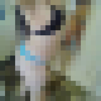Sexy Queen Anchorage, Alaska Escort, , Verified Adult Service Provider, Companion in United States | 2