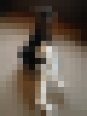 Sweet Sherri Rockford, Illinois Escort, DUO, Couple, Verified Adult Service Provider, Companion in United States | 10