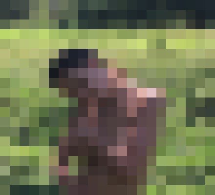 Serenity.Lux Anchorage, Alaska Escort, , Verified Adult Service Provider, Companion in United States | 7