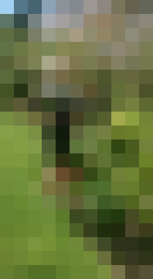 BeautyBlondeGFE Bournemouth Escort, Pornstar, Verified Adult Service Provider, Companion in United Kingdom | 8