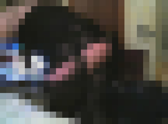 tabya Quebec Escort, Pornstar, BDSM, Verified Adult Service Provider, Companion in Canada | 11