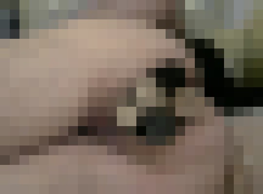 tabya Quebec Escort, Pornstar, BDSM, Verified Adult Service Provider, Companion in Canada | 14