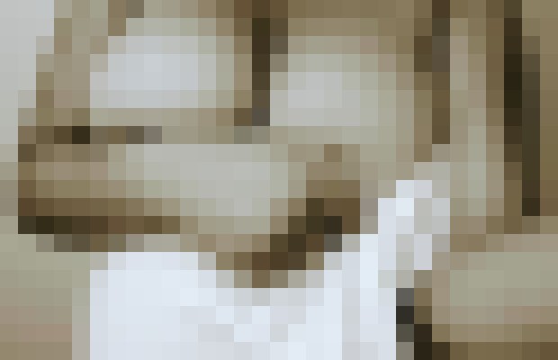 Bella Jean Chicago, Illinois Escort, , Verified Adult Service Provider, Companion in United States | 2
