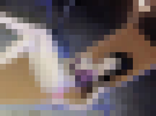 FILIPINO ESCORT  Dubai Escort, Pornstar, Couple, Massage, Verified Adult Service Provider, Companion in United Arab Emirates | 3